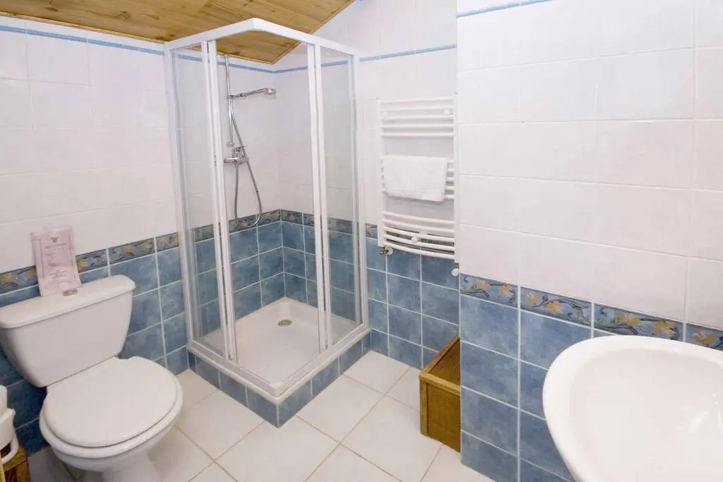 Hôtel Alpis Cottia