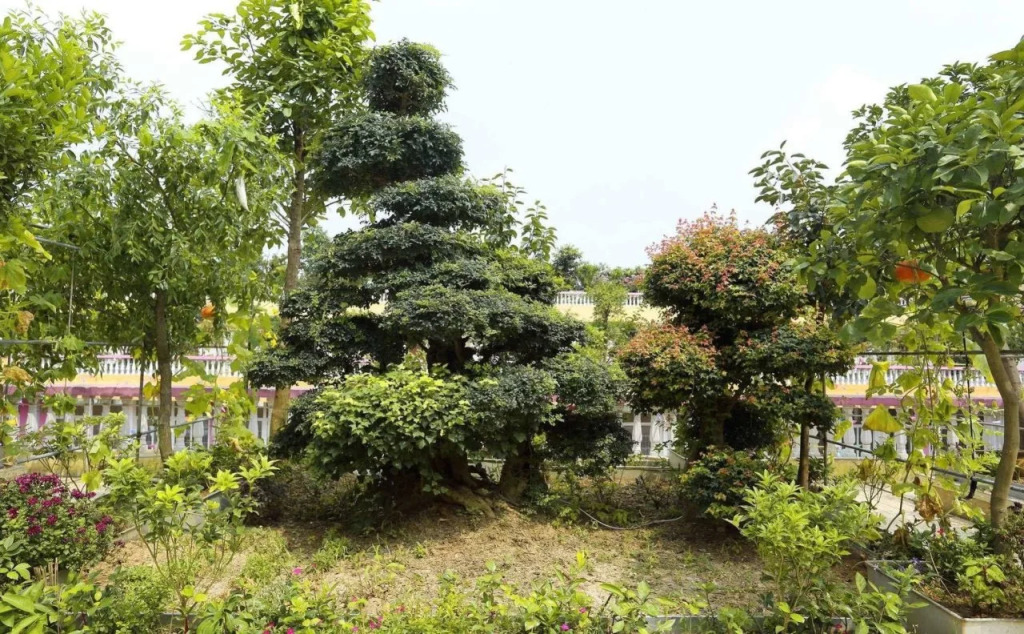 Wuhan New Expo Landscape Hotel