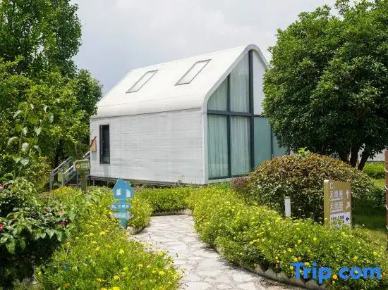 Zhenfeng Sanchahe Starry Sky Homestay