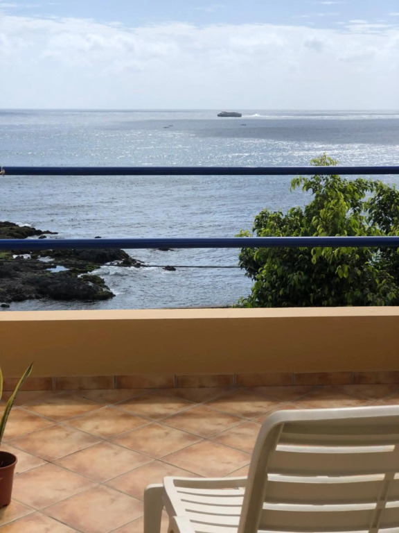 Splendid Private Guest Suite with Terrace & Ocean View