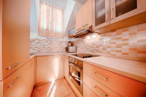Apartments and Rooms Dis