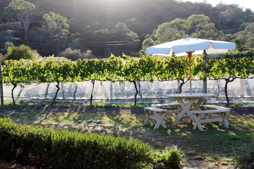 Every Man and His Dog Vineyard