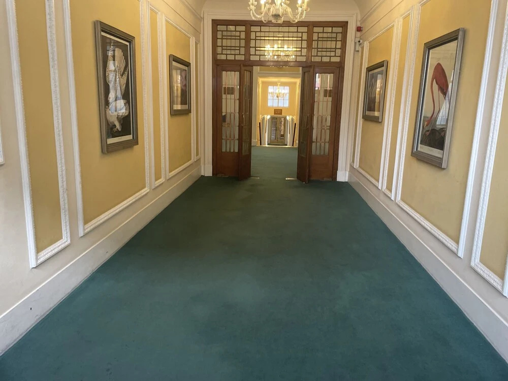 Lovely 1-bed Apartment in London