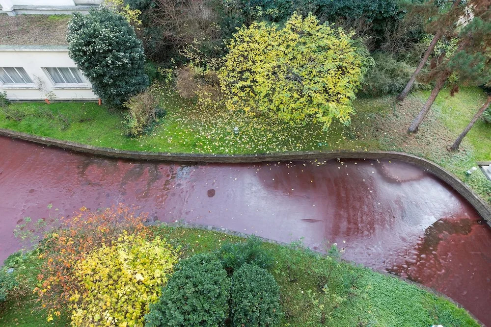 Colourful in Ternes