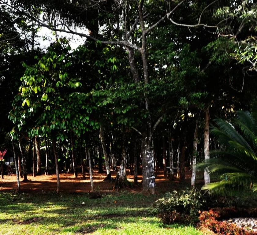 Hotel Ciudad Resort
