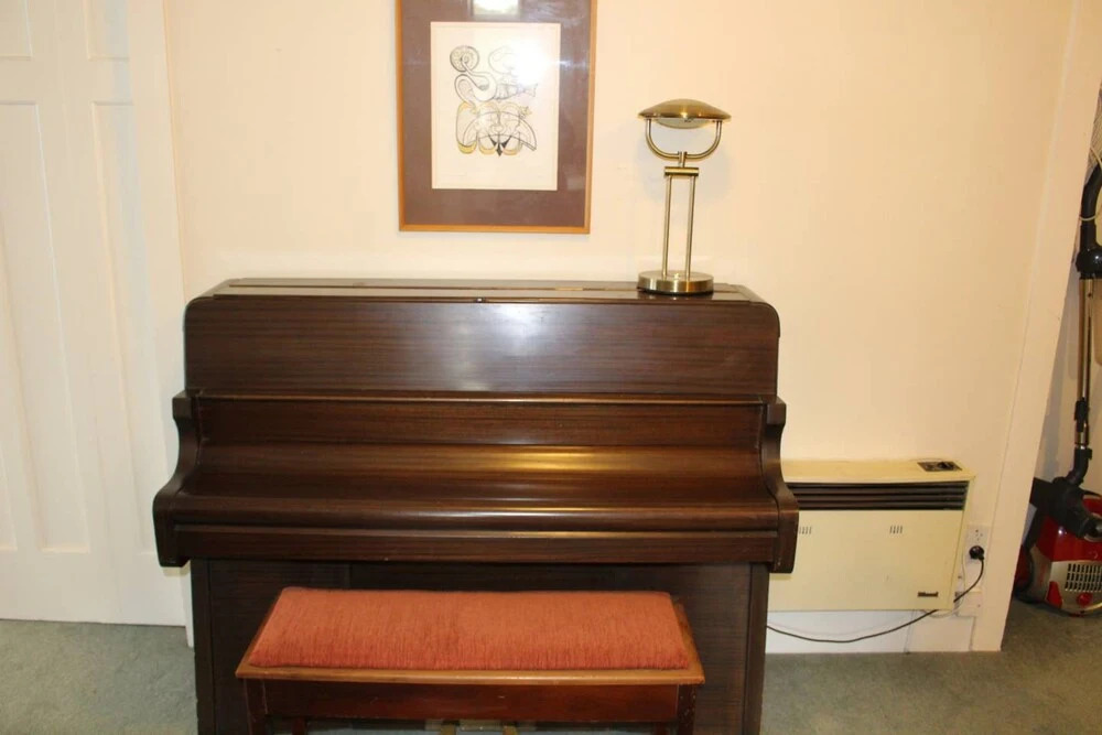 Cosy 3 Bedroom Bungalow by Cornwall Park