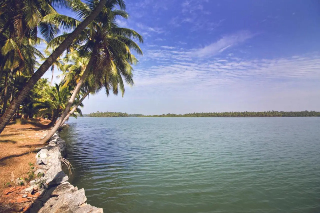 Paradise Lagoon