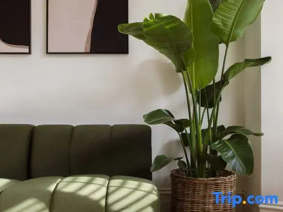 Luxury 5-Bedroom town house in Brook Green, Centra