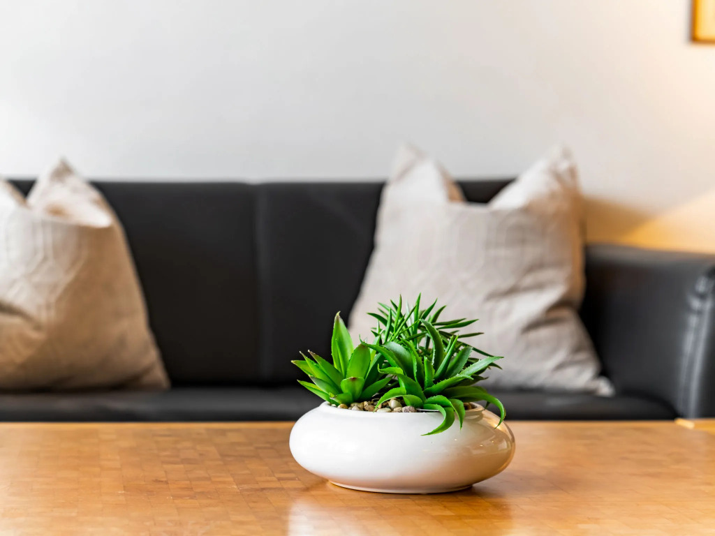 Apartment Plathner by Interhome