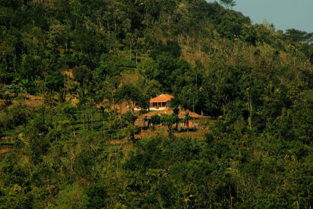 Verdant Vagamon Cottage