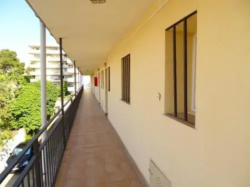 Rex Apartment