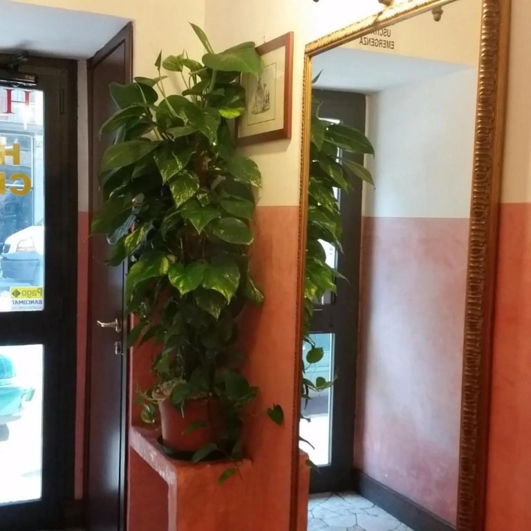 Hotel Chopin