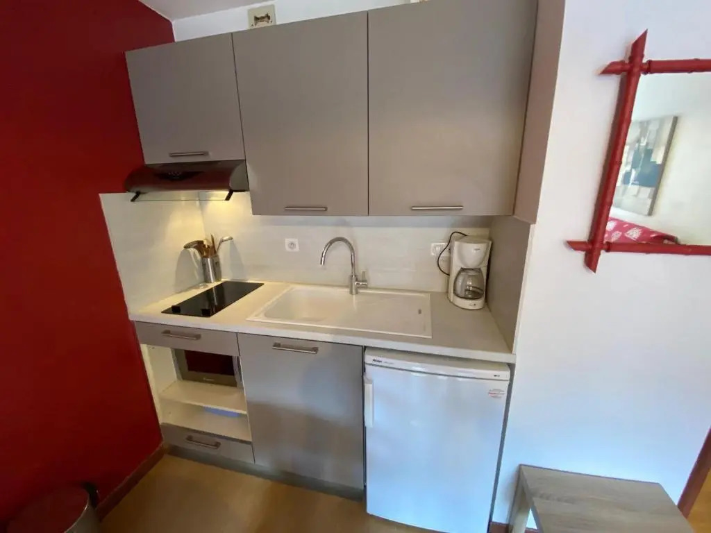 Appartement La Clusaz, 1 pièce, 4 personnes - FR-1-459-67
