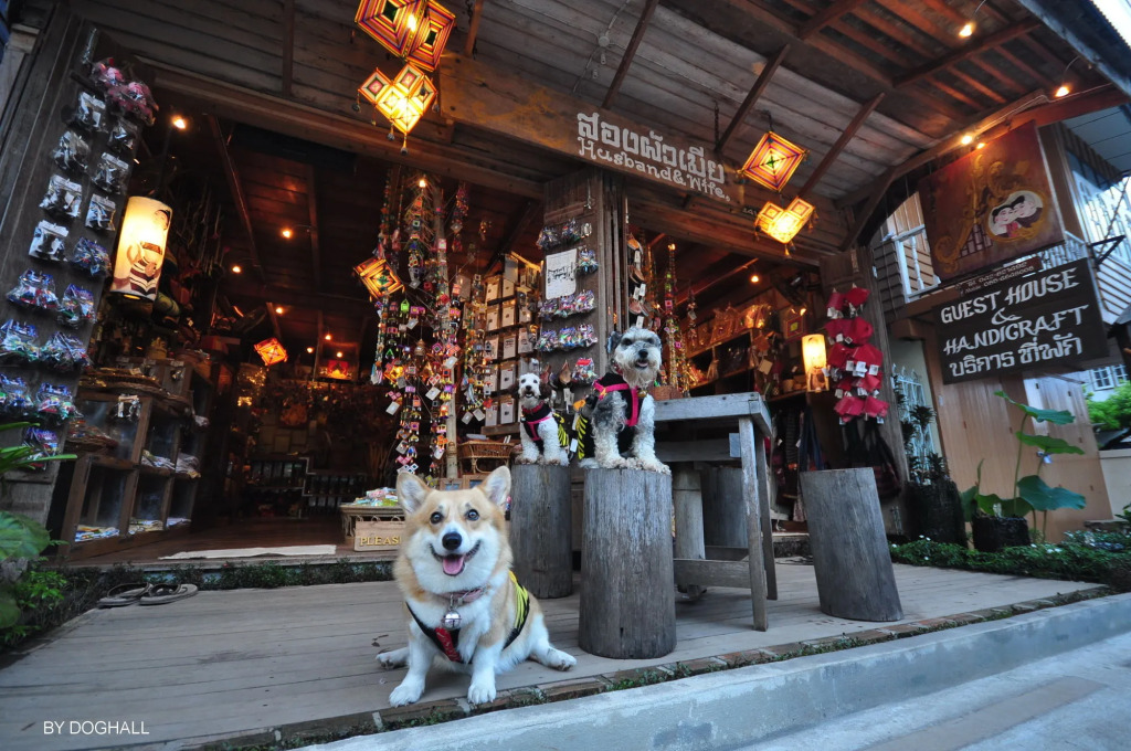 SongPhuaMia Guesthouse