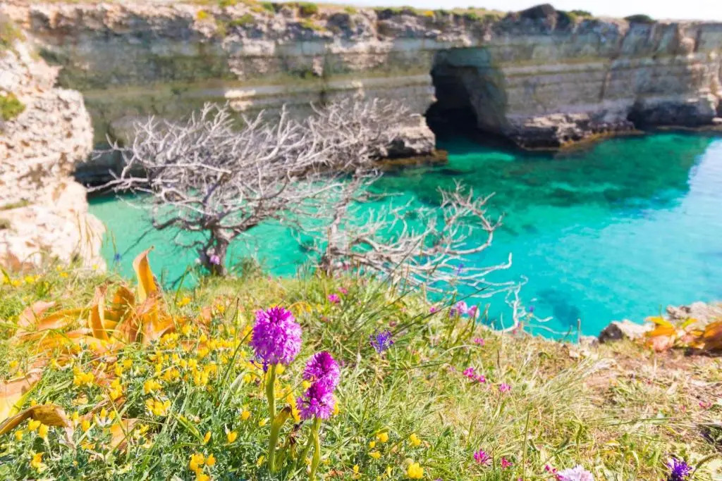Casa vacanze Calliope in Salento
