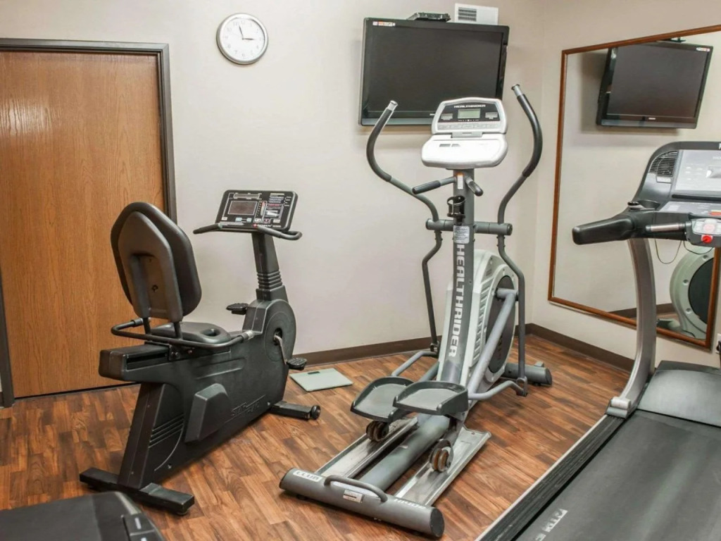 Comfort Suites Auburn near I-69