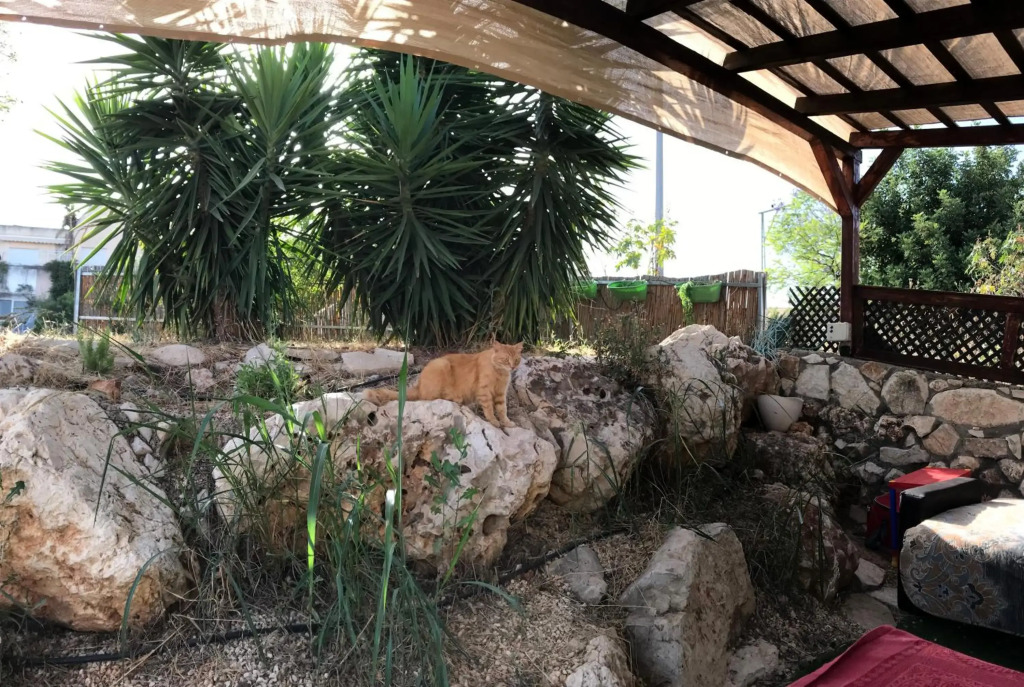 Panorama Kinneret נוף כנרת, צפת