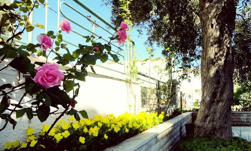Smaro Studios