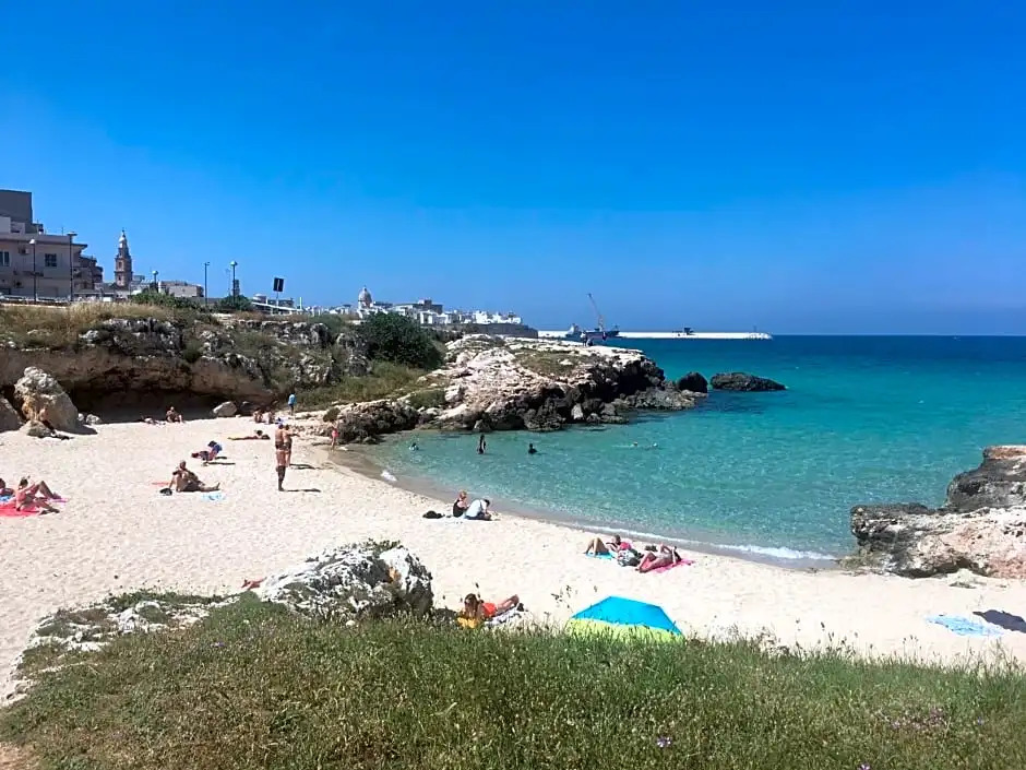 Casa Rinu
