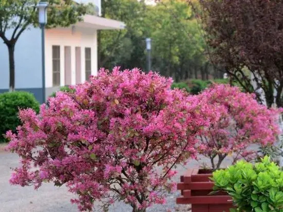 Jinteng Hostel