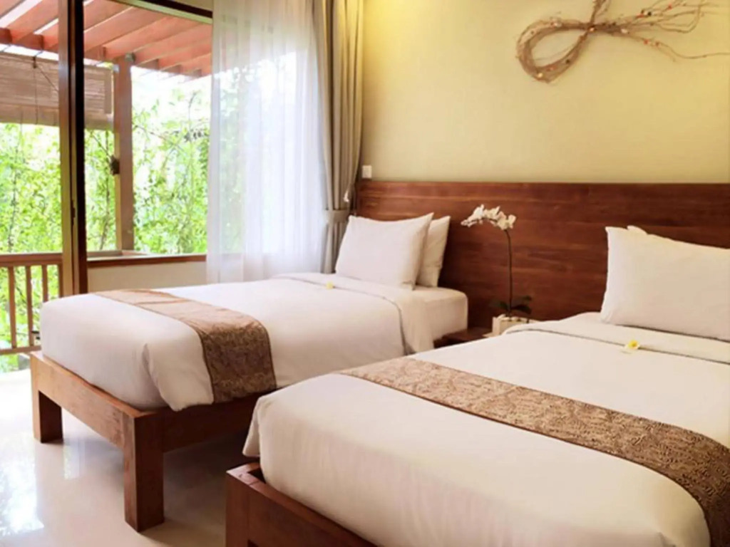 Arana Suite