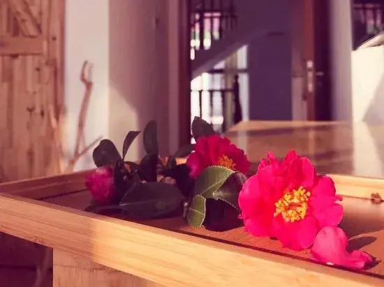Shanghai Xiangyin Homestay