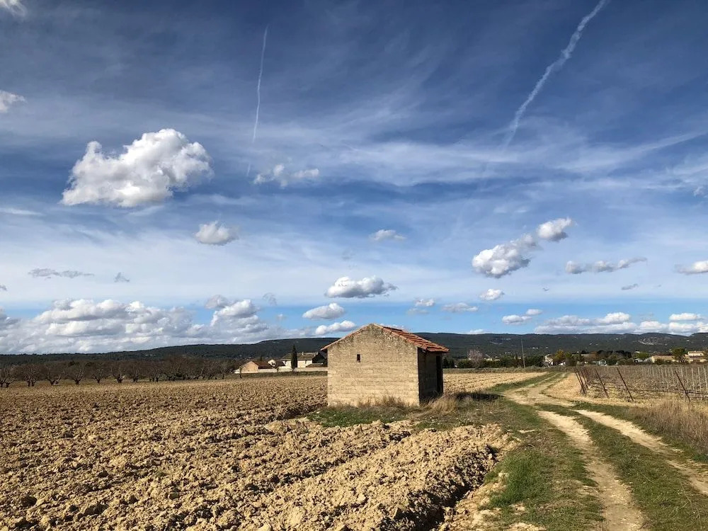 Zocalo Ranch