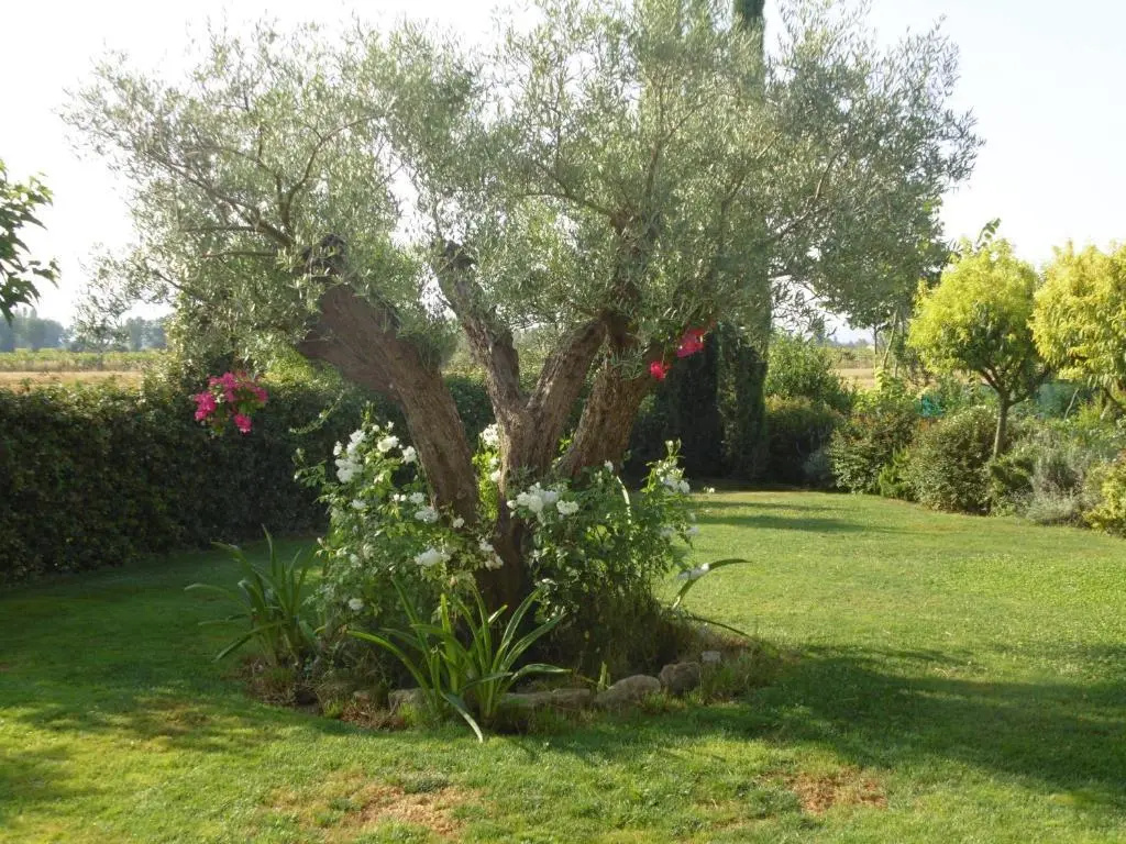 B&B La Gioiosa