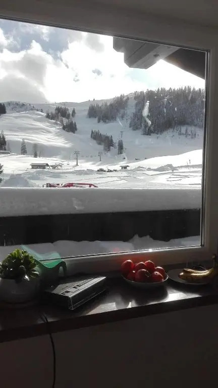Postalm Appartement Labenberg