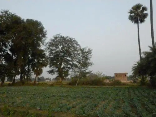 Senamura Yoga Ashram Guesthouse