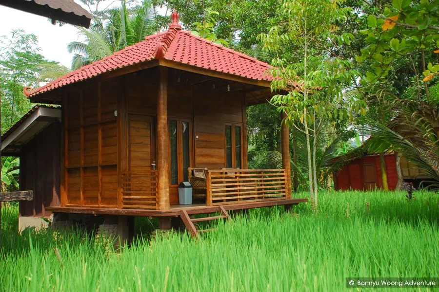 The Pikas Resort