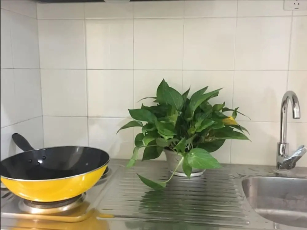 AG House Apartment - Nanmatou Road No 2 Branch