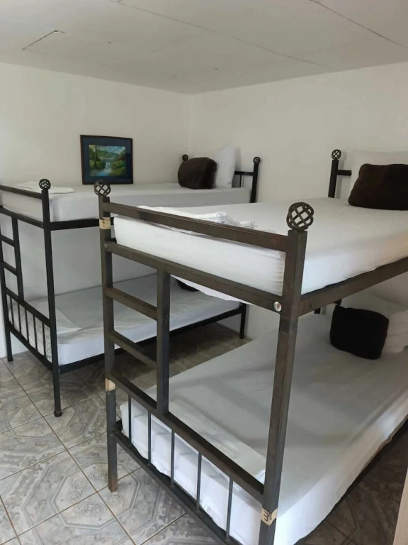 Arenal Poshpacker Boutique Urban Tropical Hotel