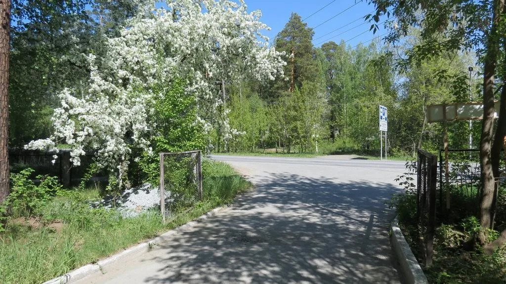 Куделька