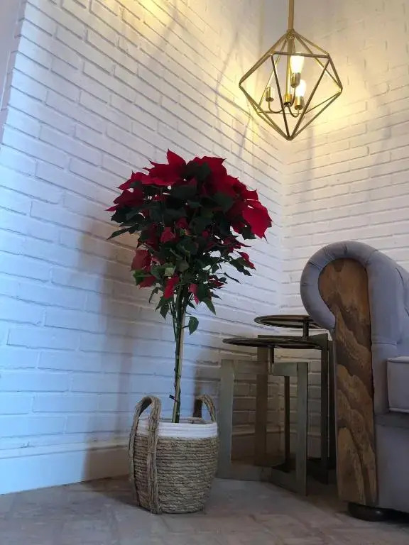 Los Patios
