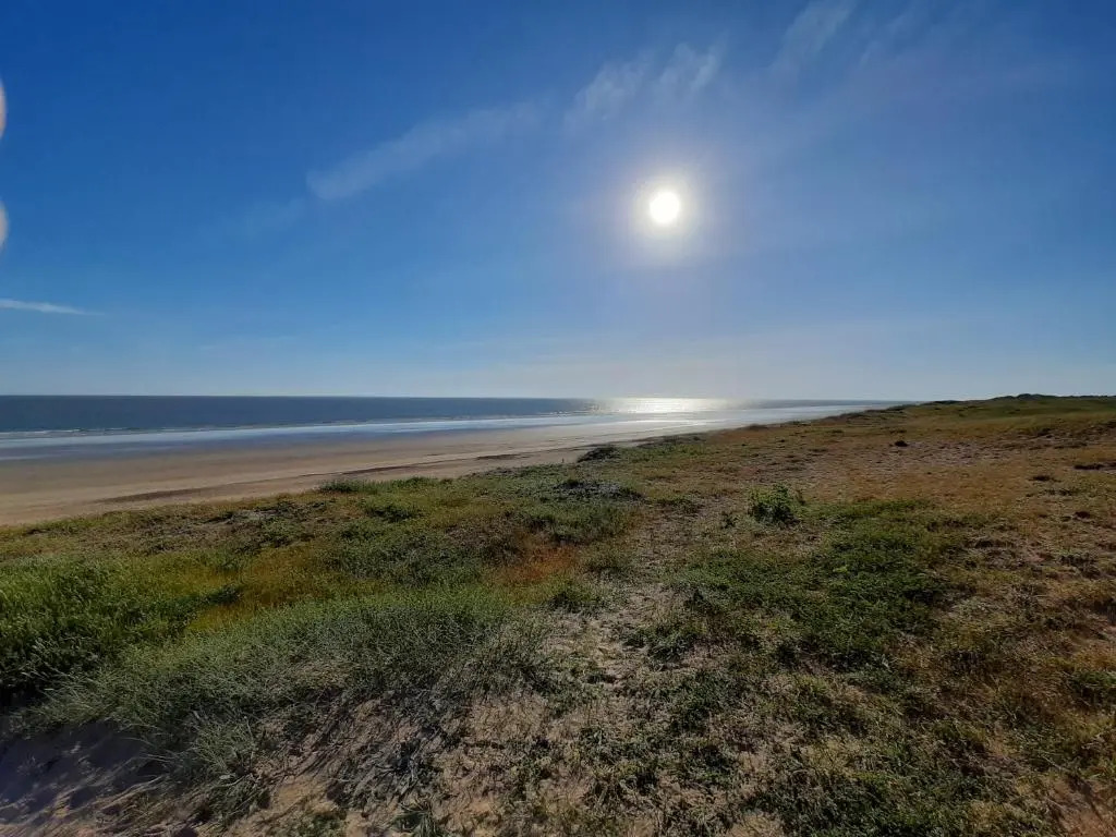 Appartement Les Ondines 2 chambres front de mer