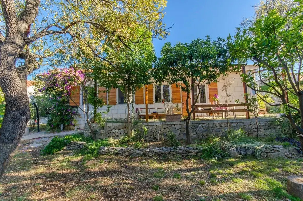 House Green Oases in Center