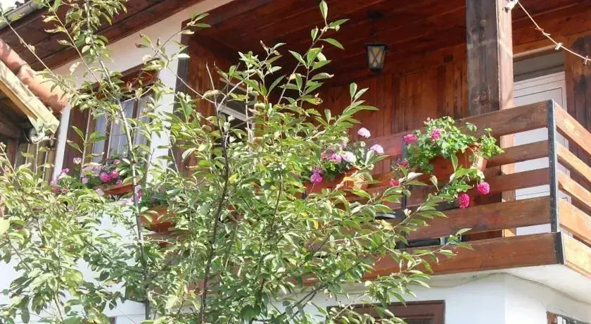 Guest House Terziiski