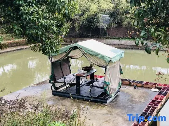 Wuzangyuan Boutique Homestay (Lijiang Zhuyu Wharf)