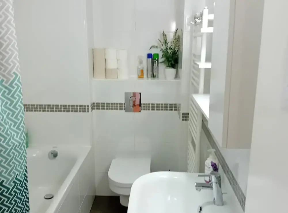 Apartment Cankareva