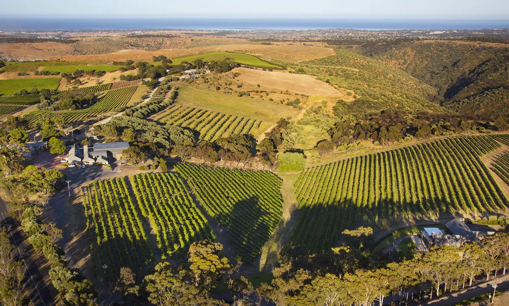 The Retreat at Chapel Hill Winery
