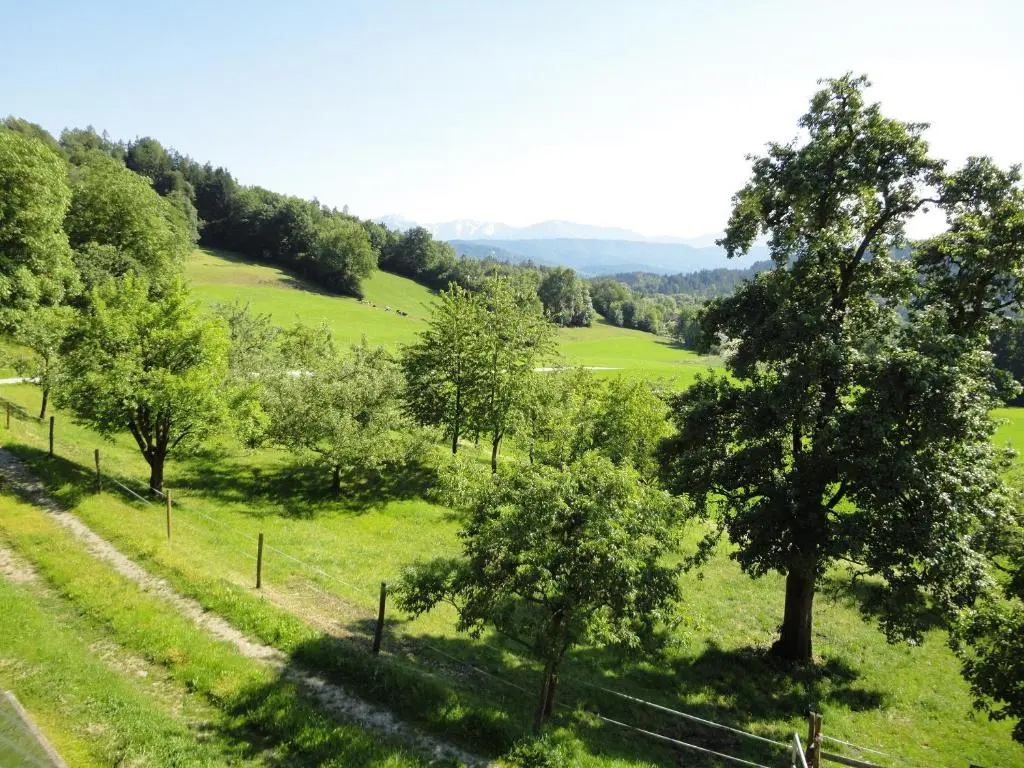 Kollehof