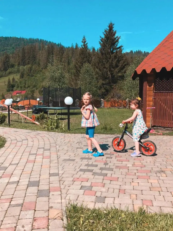 Карпатський маєток