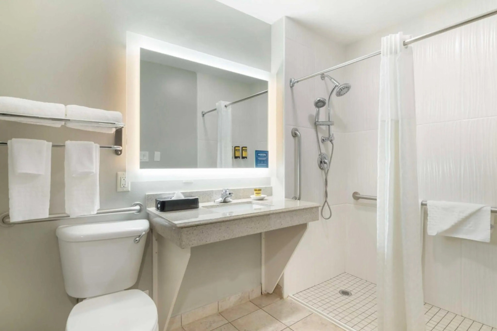 Best Western Plus Edinburg Inn & Suites