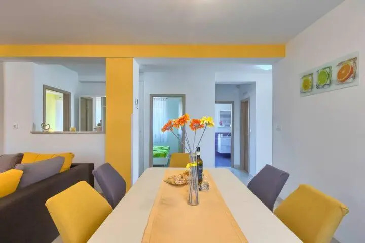 Apartment Viola ,2019
