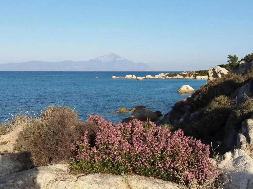 Haus Despina
