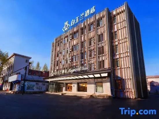 Magnotel Business Hotel (Mudanjiang Railway Station Beian Road)