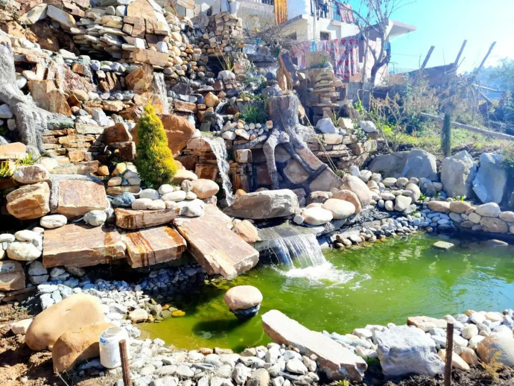 Hotel Dev Chhaya
