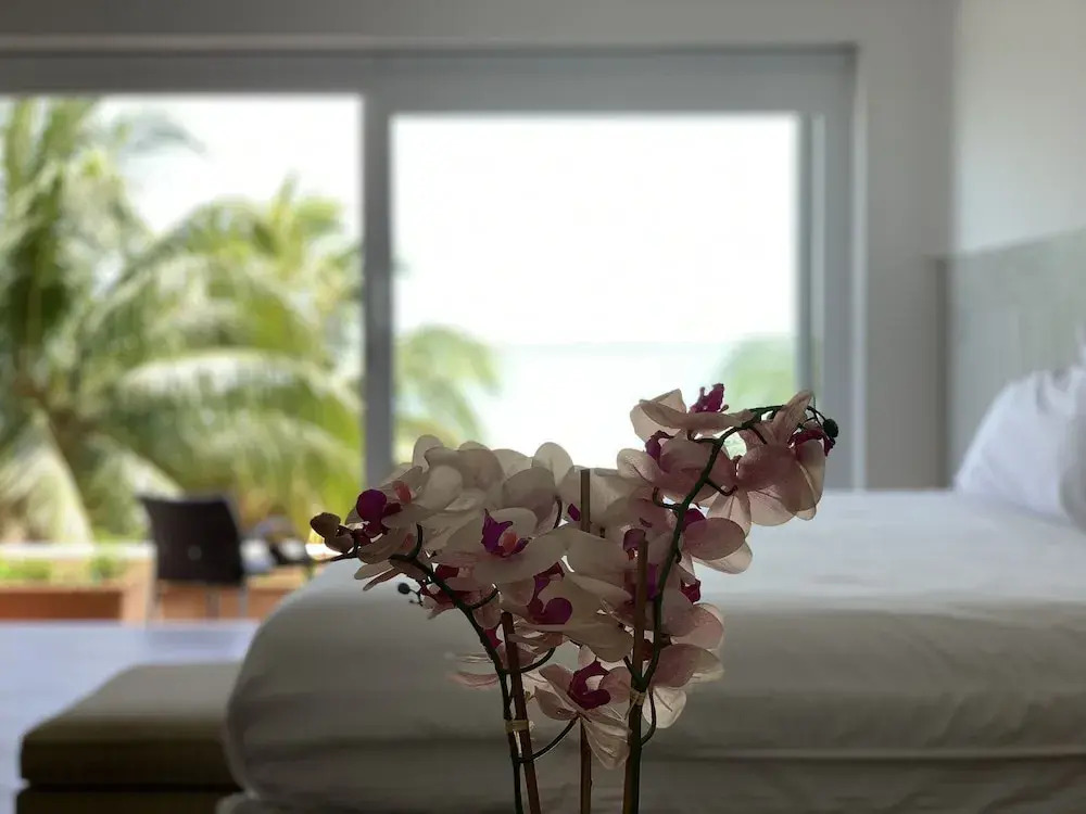 CT Apartments - Small Piece of Paradise