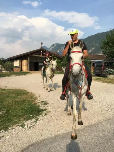 Agritur Airone Bed & Camping